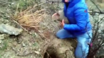 sokak hayvani -  Hayvansever çiftten yürek ısıtan görüntüler Videosu