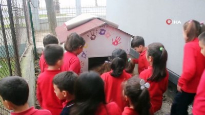 hayvan sevgisi -  Okulun maskotu 'Paşa' herkesin ilgi odağı  Videosu