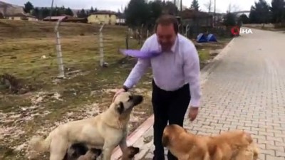  Spor İl Müdürü, sevgi gösteren sokak hayvanlarına duyarsız kalmadı 