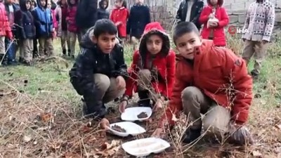hayvan sevgisi -  Minik kalpler sokak hayvanlarını unutmadı  Videosu