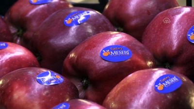 gariban - Depodan 2 liraya alınan elma markette 7 liraya satılıyor - KARAMAN Videosu