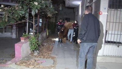 nadan -  Ev arkadaşlarıyla anlaşamayan genç kendini odaya kitleyip boğazını keseceği sırada polisler tarafından kurtarıldı Videosu