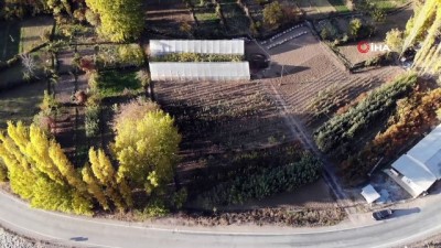 tarim arazisi -  Sular altından kalacak olan Yusufeli ilçesinin yeni yerleşim yeri için 30 bin meyve fidanı koruma altına alındı  Videosu