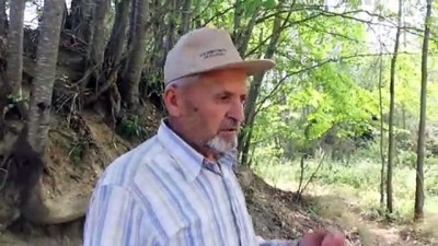 ormana - Bolulu hayırsever hayvanlar için 34 çeşme yaptı - BOLU  Videosu