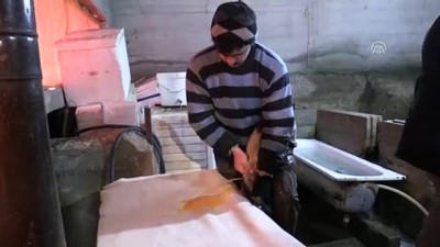dogal bal - Gümüşhane'de balık üretiminden ekonomiye 90 milyon liralık katkı  Videosu