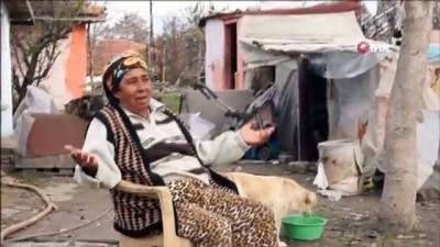 yasli kadin -  'Fakirlik aylığını' sokak hayvanlarıyla paylaşıyor  Videosu