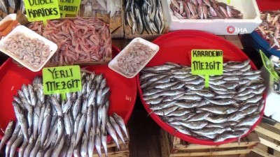 Balıkesir'de son iki yılda palamut yüzde 90 azaldı 