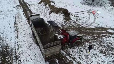 karli hava -  Kar altında pancar mesaisi  Videosu