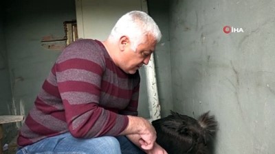  Munzur Vadisinde ilk defa 'Kara Akbaba' görüldü 