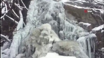 uttu -  Dondurucu soğukların yaşandığı Sivas’ta şelaleler buz tuttu  Videosu