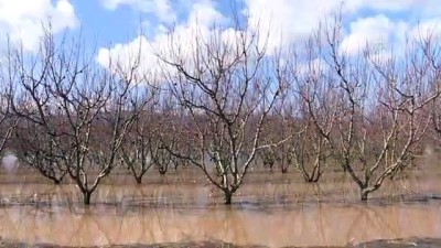 tarim sigortasi - İzmir'de rekor yağış tarım arazilerini göle döndürdü Videosu