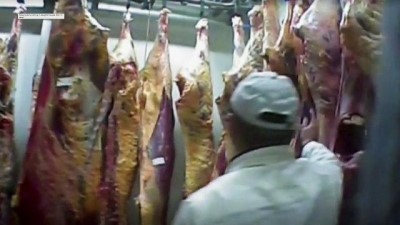 : Avrupa'da et skandalı: Gizli görüntülerde hasta hayvanların kesilerek satıldığı ortaya çıktı