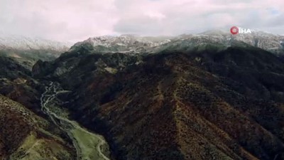 kacak -  Karlı dağlardaki yaban keçileri havadan görüntülendi  Videosu