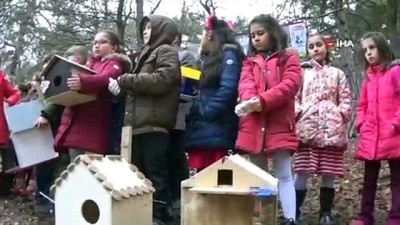 kus yuvasi -  Öğrenciler aileleriyle birlikte ormanlık alana kuş yuvası yaptı Videosu