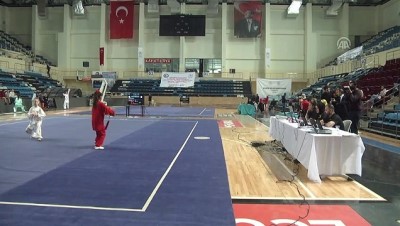 dunya sampiyonu - Türkiye Wushu Taolu Taichi Şampiyonası - SAKARYA  Videosu