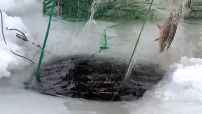 kocak - Bitlis'te donan gölde balık avı  Videosu