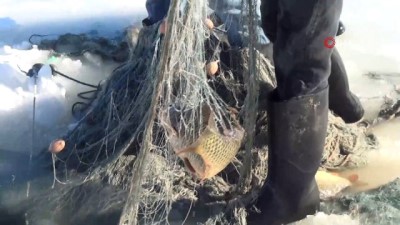 inci kefali -  Donan gölde eskimo usulü balık avı  Videosu