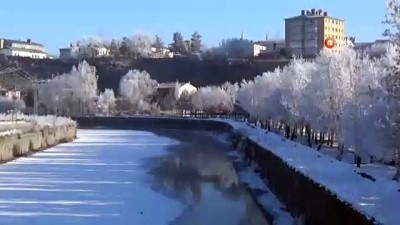 bahar havasi -  Kars'ta dondurucu soğuklar etkili oldu...Ağaçlar buzdan heykellere döndü  Videosu