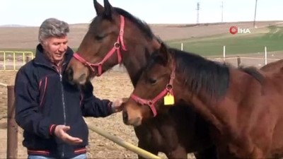  İnsanlara hem dost hem de şifa kaynağı oluyorlar 