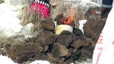 kar suyu -  Atlı kızakla yolculuk yapıp karda patates közlediler  Videosu