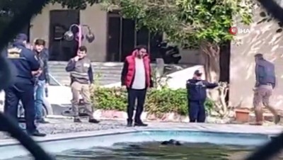 yaban domuzlari -  Marmaris’te domuz havuza düştü  Videosu