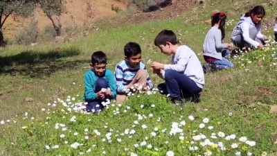 bahar havasi - Antalya'da meyve ağaçları çiçek açtı Videosu