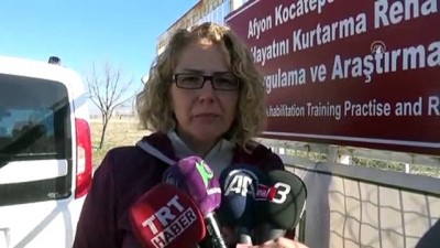 tedavi sureci - Tedavileri tamamlanan geyikler doğal yaşam parkına gönderildi - AFYONKARAHİSAR Videosu