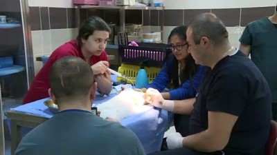 hastane yonetimi - 'Paşa'ya rahat nefes aldıran operasyon - ERZURUM  Videosu