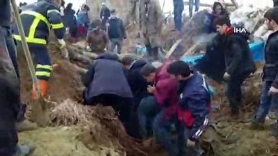 buyukbas hayvan -  Yükekova’da ahır çöktü: 4 inek telef oldu Videosu