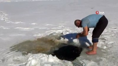 balik avi -  Donan gölde abdest alıp namaz kıldılar  Videosu