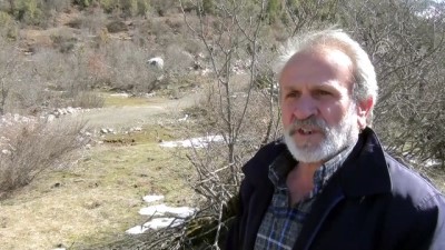 ekince - Yaban keçileri yerleşim yerlerine alıştı - ANTALYA  Videosu