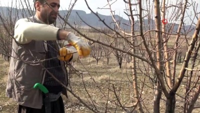 bahar havasi -  Bahar yüzünü erken gösterdi, çiftçiler kolları sıvadı  Videosu