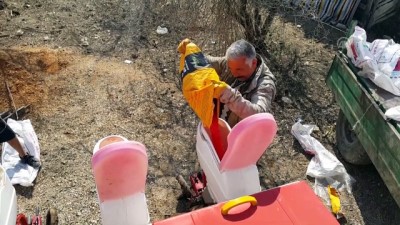 Osmaniye'de birinci ürün mısır ekimi başladı 