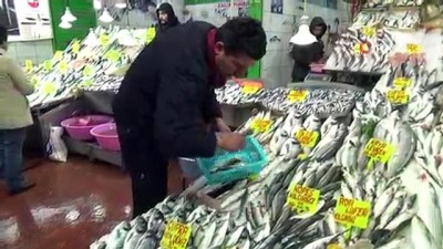 balikci esnafi -  Balık alım fiyatları arttı, satışlar aynı  Videosu