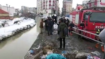 dogal yasam alani - Derede mahsur kalan köpeği itfaiye ekibi kurtardı - HAKKARİ  Videosu