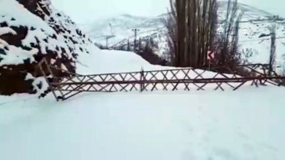 elektrik diregi - Kar yağışı ve fırtına elektrik direğini devirdi - SİİRT  Videosu