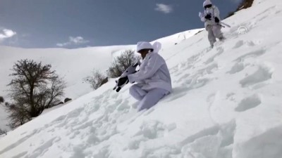 Van'da terör operasyonu 