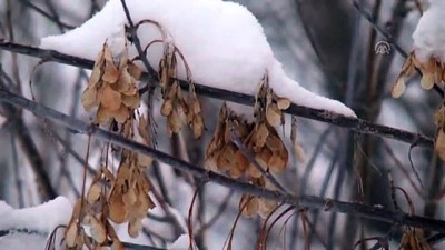 is makinesi - Doğu Anadolu'da kar yağışı - KARS  Videosu