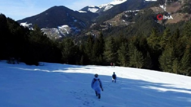 Jandarma o evleri tek tek arıyor