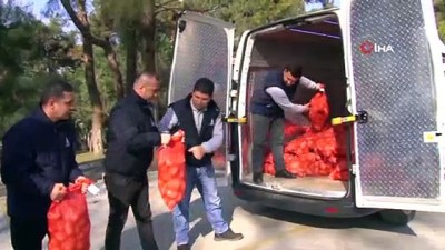 kooperatif - Kocaoğlu açıklamıştı...35 bin aileye 700 ton patates ve soğan dağıtılıyor  Videosu