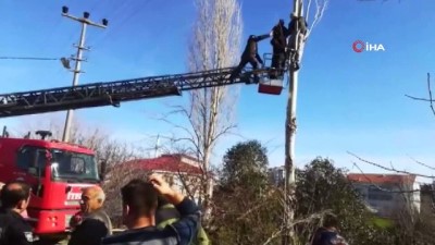  Elektrik akımına kapılan vatandaşı ağaçtan itfaiye ekipleri kurtardı 