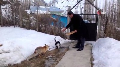 kopek -  Tilki ve kediyi elleriyle besliyor  Videosu