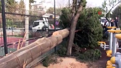 korku filmi -  Fırtına Bodrum’u yıktı geçti...Çatılar uçtu, ağaçlar ve direkler devrildi  Videosu