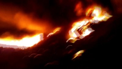Viyadükten düşerek yanan tırın sürücüsü öldü - OSMANİYE