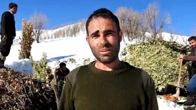 sonbahar - Hayvanları için karlı yolları kızakla aşıyorlar - BİTLİS  Videosu