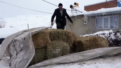 Ağrı'da besicilerin zorlu kış mesaisi 