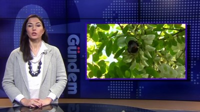 televizyon programi - Gündem 8 Şubat Videosu