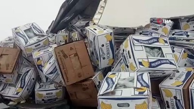 jandarma -  TIR'lar kaza yaptı, muz kutuları yola saçıldı  Videosu