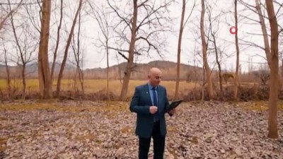 Başkan adayı vaatlerini ormanda ağaçlara anlattı