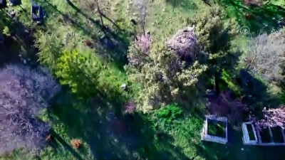 istifa - Beyşehir'deki Leylekler Tepesi'çevre koruma projesi'ne alınıyor - KONYA  Videosu